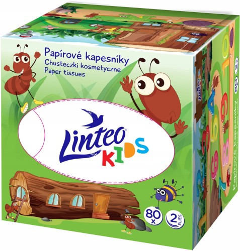 Chusteczki-higieniczne-dla-dzieci-Linteo-Kids-kartonik-80-szt.jpg