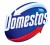 Domestos Płyn do WC Pine Fresh Professional 2 L