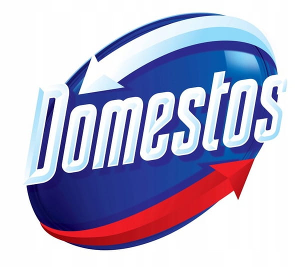 Domestos Płyn do WC Pine Fresh Professional 2 L
